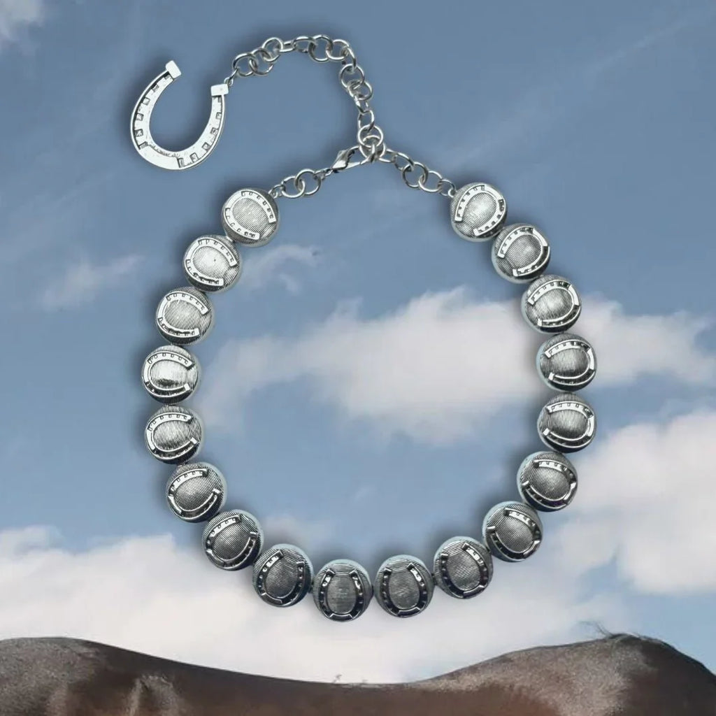 The Horseshoe Medallion Necklace - SILVER