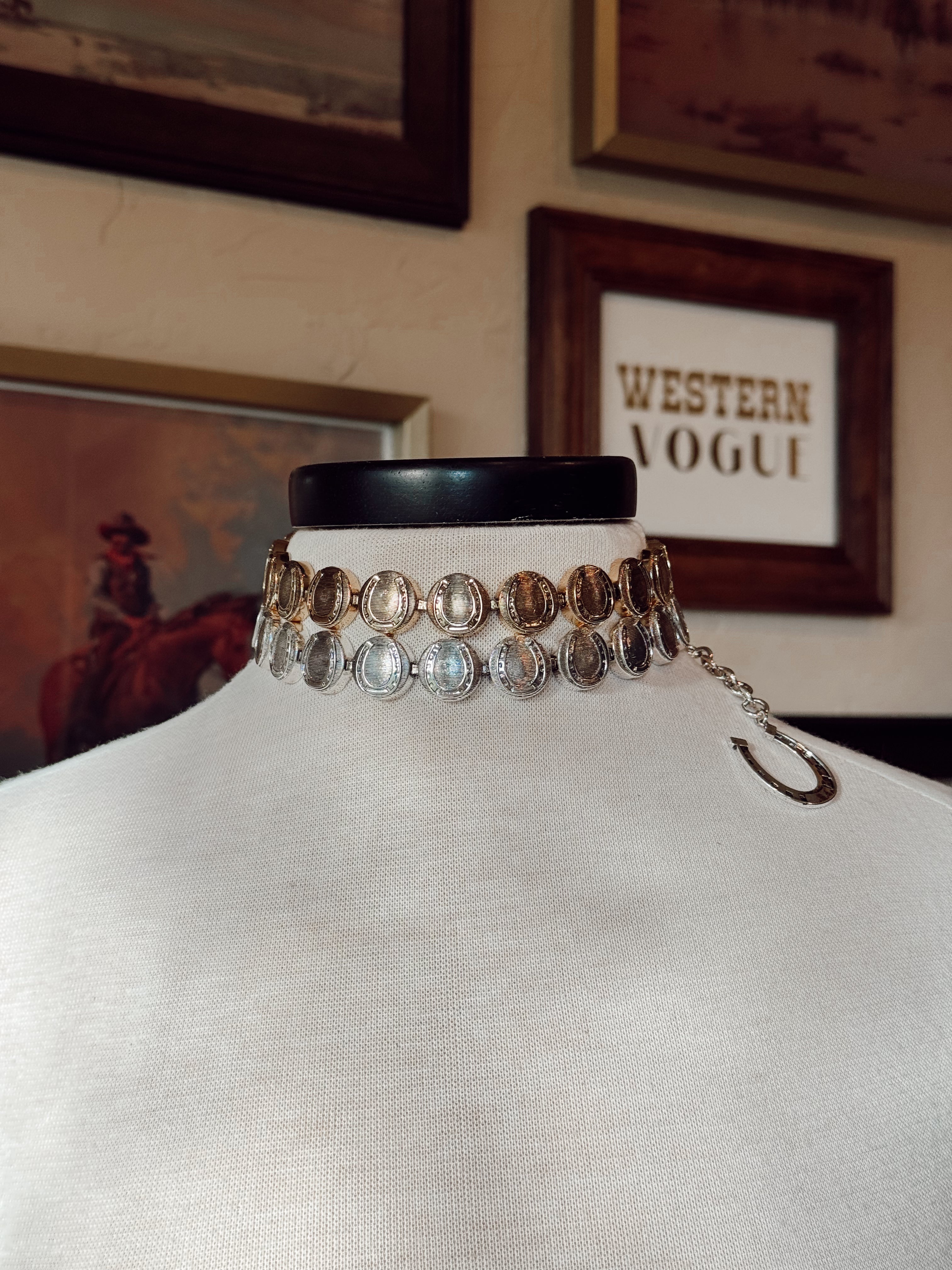 The Horseshoe Medallion Necklace - SILVER